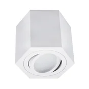 Spot svetlo ARENO 1xGU10/30W/230V belo