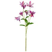Ukrasna Grančica 84cm Clematis