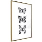 Poster - Butterfly Collection III 30x45