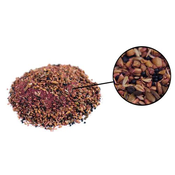 MELEG MICRO RED SEED 1kg