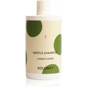 Kolorky Men 2 in 1 Hair & Body Wash gel za prhanje za telo in lase za moške Green Vetiver Wood 490 ml