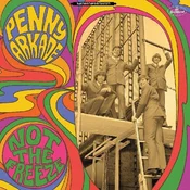 Penny Arkade - Not The Freeze (Reissue) (Coloured) (2 LP)