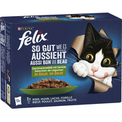 Felix Fantastic - Izbor z zelenjavo, 12 x 85 g