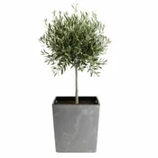 Home Flore siv betonski cvetlični lonček v41x39,5x39,5 cm