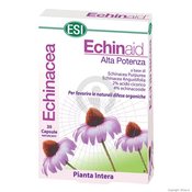 Echinaid kapsule - za jačanje imuniteta