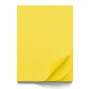 Papir šeleshamer b1 70x100 intenziv er