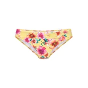 SUNSEEKER Bikini hlačke rumena/mešane barve