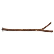Ptica Jewel lesena naravna 40cm