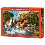 Castor 1000-delna sestavljanka. Čudežna dežela konj.
