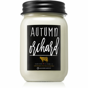 Milkhouse Candle Co. Farmhouse Autumn Orchard mirisna svijeca Mason Jar 369 g