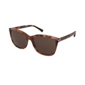 Sončna očala Emporio Armani EA4060 6196/73