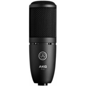 AKG P120+ Recording Microphone