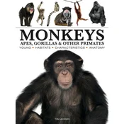 Monkeys