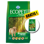 Ecopet Natural Puppy Chicken 14 kg