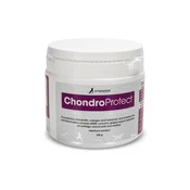 Veterinarski izdelek ChondroProtect – za veselje do gibanja