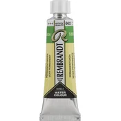 Rembrandt Professional Watercolour Paint 10 ml Permanent Green
