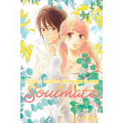 Kimi ni Todoke: From Me to You: Soulmate, Vol. 2
