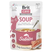 Brit Care | Juha z lososom