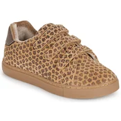 Bonton BASIL SCRATCH Kostanjeva