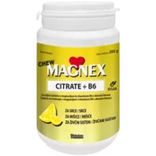 Magnex Citrate 375 Mg + B6, 100 žvečljivih tablet