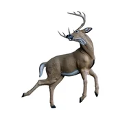 Rinehart Target 3D Kicking Deer (2 boxes)