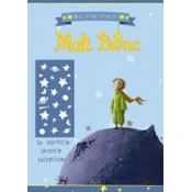 MALI PRINC - Sa svjetlecim ukrasnim naljepnicamš