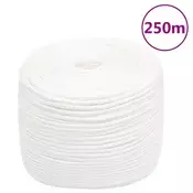 Vidaxl Vrv za čoln popolnoma bela 10 mm 250 m polipropilen