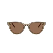 Jimmy Choo Naocare za sunce JC 5043D 505173