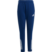 Hlače adidas TIRO25C TR PNTY