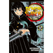 Demon slayer. Kimetsu no yaiba