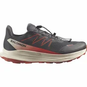 Salomon ALPHARIDE 2 GTX, muške patike za trail trcanje, siva L49181600