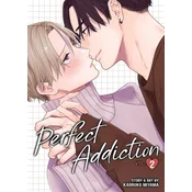 PERFECT ADDICTION V02