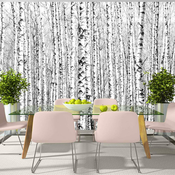 Foto tapeta - Birch forest 250x175