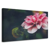 shumee Platno z motivom botaničnega roza dalije 100x60 cm