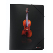 DP MAPA A4 VIOLIN