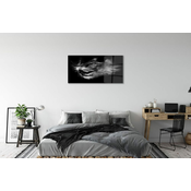 tulup.si Slika na akrilnem steklu Ženska balet dim sivo ozadje 120x60 cm 4 obešalnika