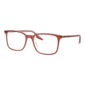 Ray-Ban RX5421 8171
