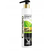 DELIA CAMELEO ANTI DAMAGE šampon za zelo poškodovane lase 250 ml