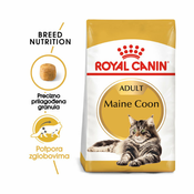 Royal Canin FBN Maine Coon Adult 10 kg