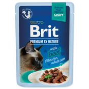 Brit Premium by Nature goveji fileti v omaki 85g