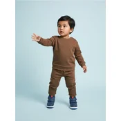 Sinsay - Komplet od 2 jogger donja dela trenerke - krem