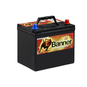 BANNER Power Bull P9505