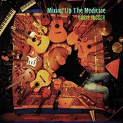 Chris Jagger - Mixing Up The Medicine (LP)
