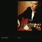 Steve Hackett - Tribute (Reissue) (180 g) (LP)