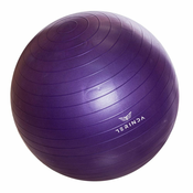 TERINDA Žoga za gimnastiko 65CM