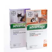Advantage Spot On za mačke 4 x 0,8 ml (Advantage 80)