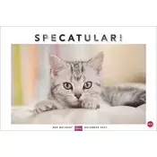 Whiskas Katzenkalender 2027