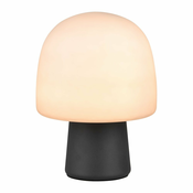 Namizna svetilka s steklenim senčilom v črni in beli barvi (višina 27 cm) Steen – Trio