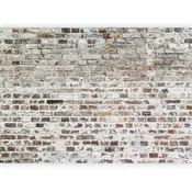 artgeist Fototapeta Old Walls, 250x175cm