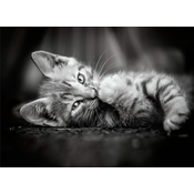 CLEMENTONI Puzzle 1000 delova Kitty